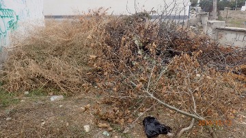 Ефремова 13в_1